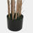 70" Artificial Bamboo with Black Plastic Pot