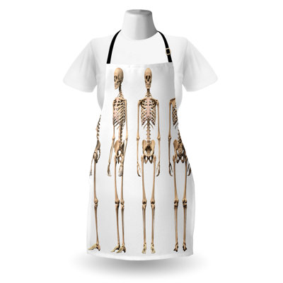 East Urban Home Anatomy Apron Unisex, Mankind Skeleton Bones Art, Adult Size, Cream