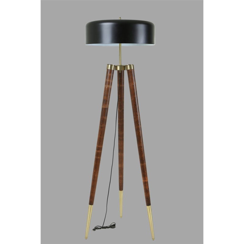 Claypoole 165cm Tripod Floor Lamp, Black