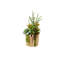 Succulents Arrangement in Glass Wood Planter