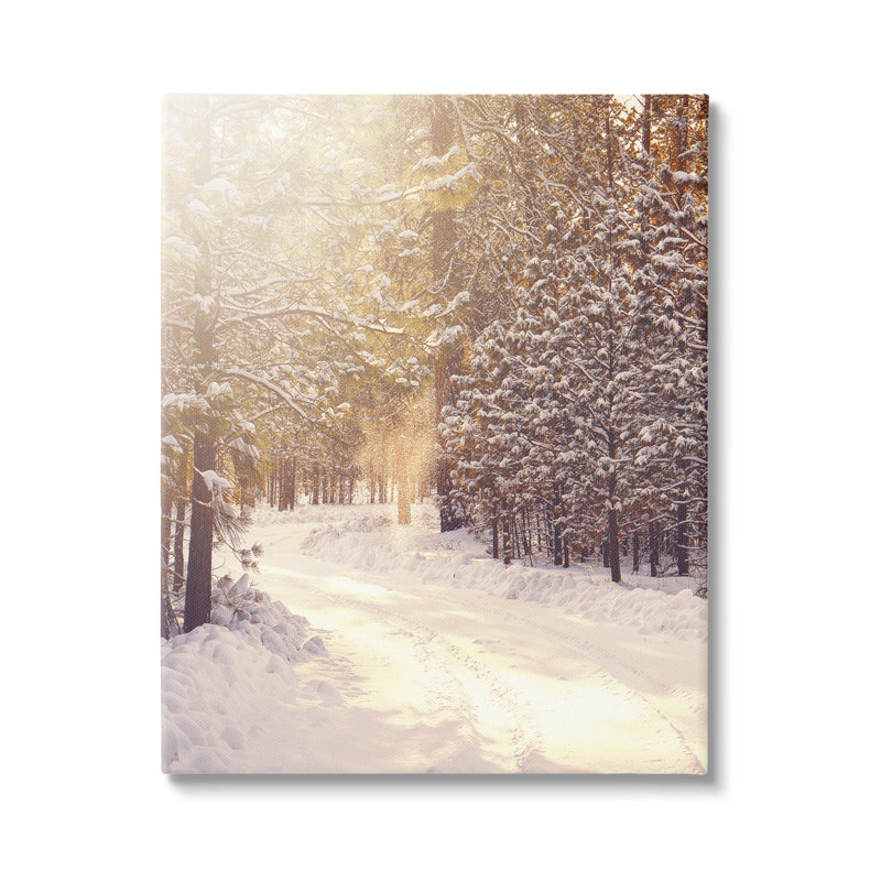 Conception d'art sur toile Stupell Industries Snowy Winter Path par Leah Straatsma, H 20 po x l 16 po x P 1,5 po