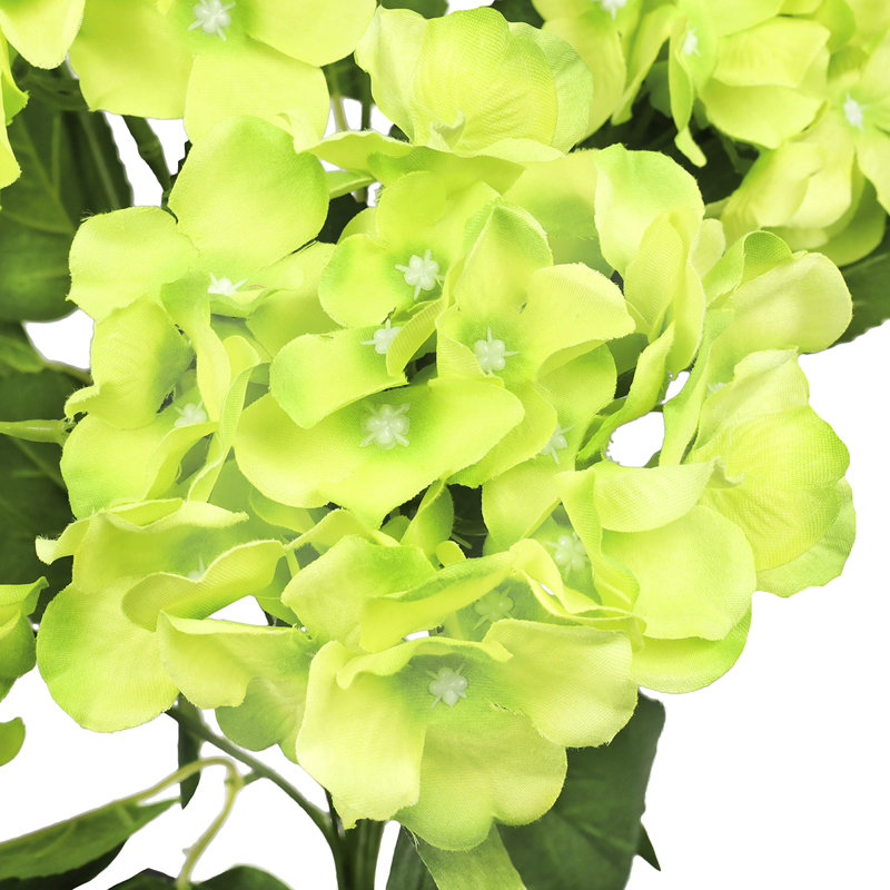 Tige d'hortensia de luxe Cragmont, Vert