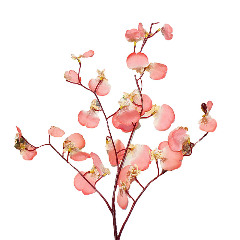 Orchid Arrangement, Coral Powder