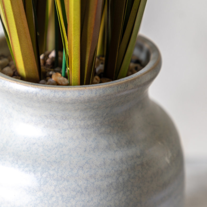 Potted Grass with Yellow Wildflower