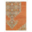 Oriental Area Rug in Rust