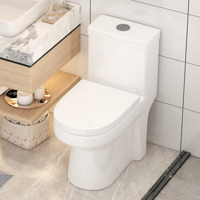 Poseidon one-piece compact toilet, powerful and quiet dual flush, space-saving design, round comfort height