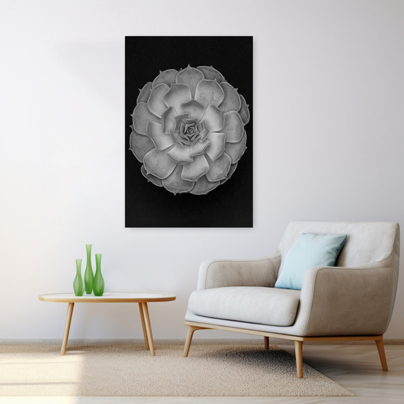 «Succulent Graptoveria Baw 001 Abstract Contemporary Cactus Succulent Landscape Nature», art mural, H 48 po x l 32 po