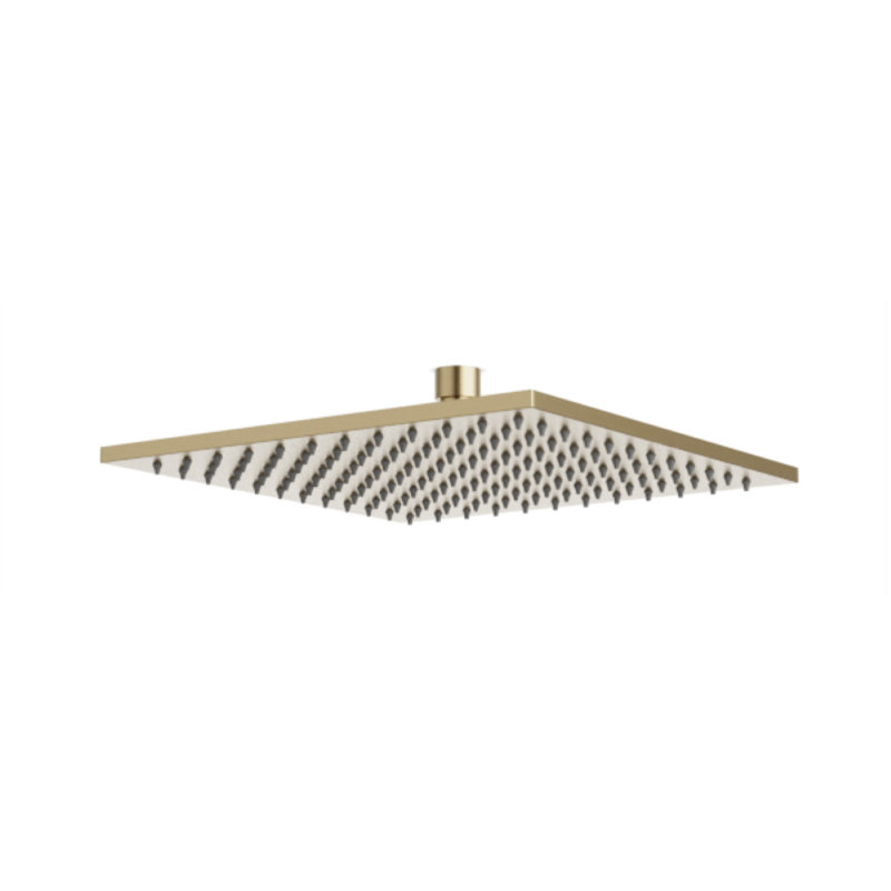 Rain Adjustable Shower Head, Satin Brass