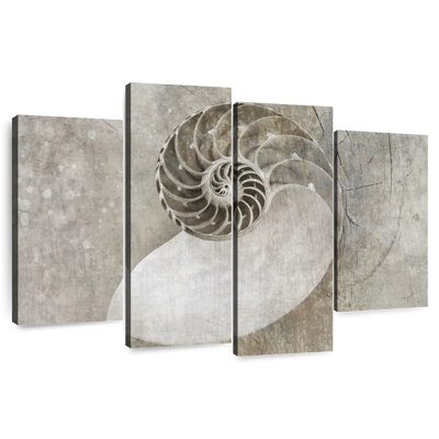 Spiral Seashell