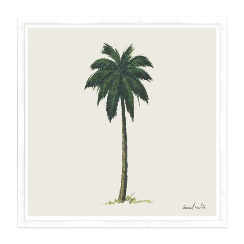 Palm Print, White
