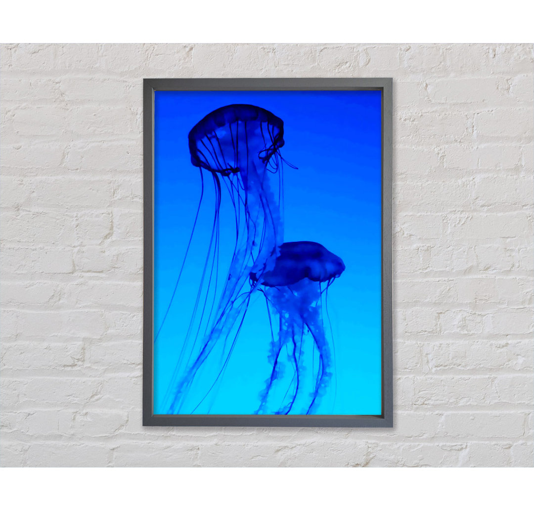 Jellyfish Duo - Einzelner Bilderrahmen Kunstdrucke auf Leinwand