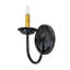 1 - Light Armed Sconce