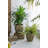 S/2 Iron Flower Pot L:13x13x14.5'' S:11x11x13.5''
