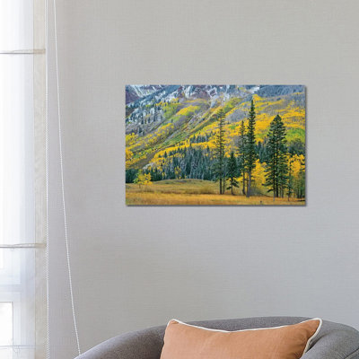 Quaking Aspen Grove in Fall Colours, Maroon Bells, Snowmass Wilderness, Colorado II 1 Piece Wrapped Canvas Wall Art