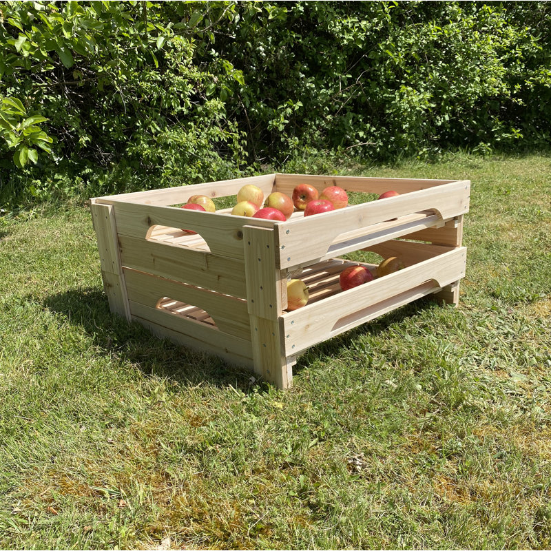 Harji Wood Food Storage Container