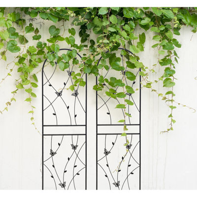 71" X 19.7" Metal Garden Trellis  2 , Rustproof Outdoor Plant Assistance Part, Black, Easy Assembly Process, Constitution, For Ivy, Vines, Rose, Morni