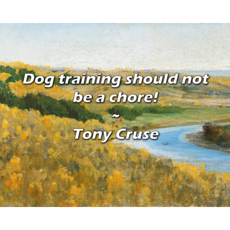Citation de Tony Cruse: L'entraînement des chiens ne devrait pas être une corvée!, H 20 po x l 24 po