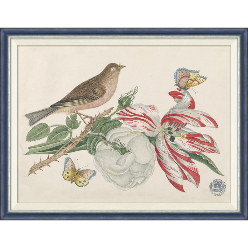 18e siècle, Bouquets de fleurs avec oiseaux X - peinture à cadre unique
