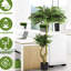 Longues plantes artificielles pour la maison - Ornements décoratifs de fleurs d'atterrissage de 160 cm réalistes avec structure de racines imbriquées 1Pcs / système