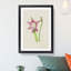 Pink Amaryllis Flower Illustration - Framed Print-55616539-55616540