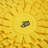 Amahd Polyester Pet Bed-116001137