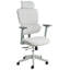 Office Chair with Headrest-884686827