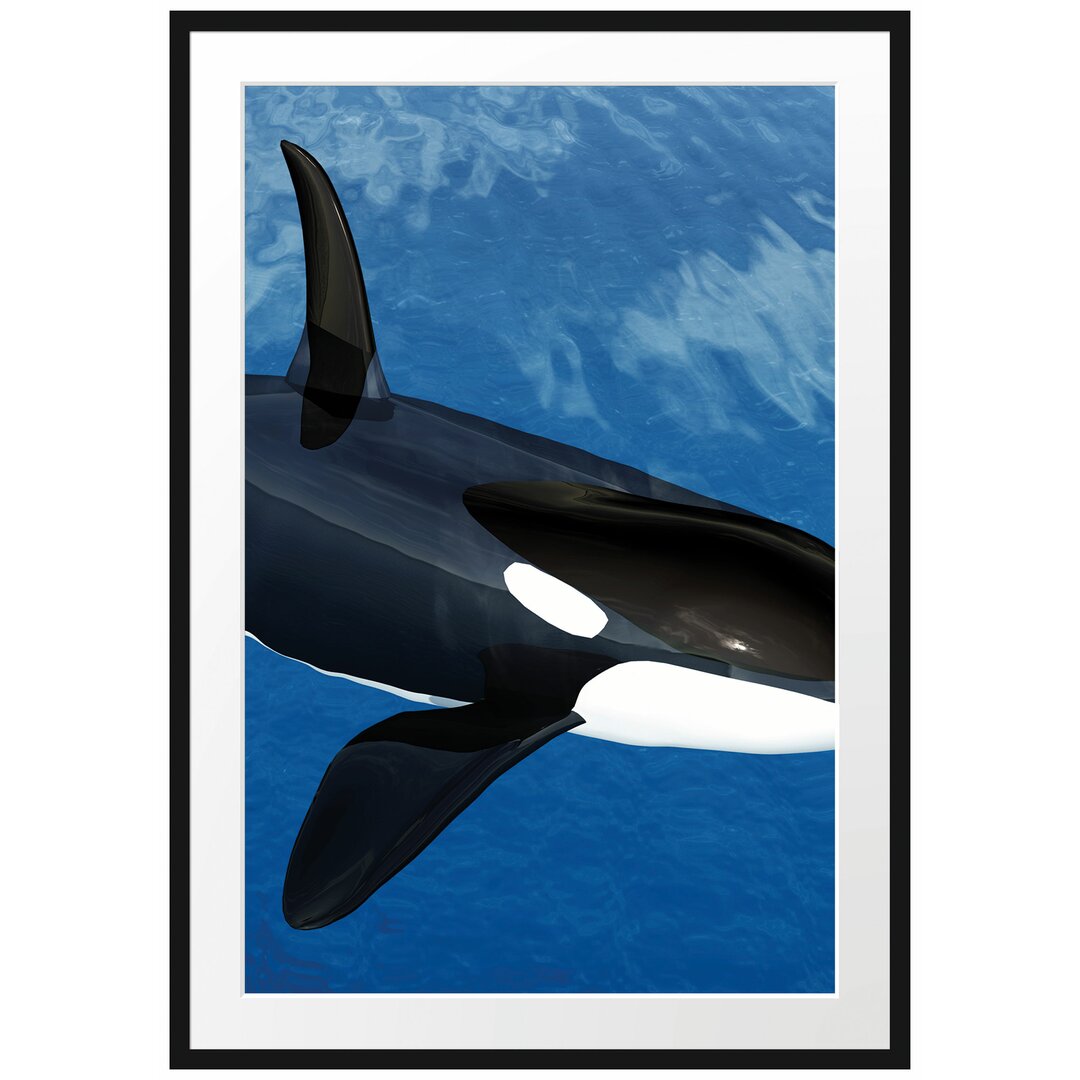 Gerahmtes Poster Orca im blauen Meer