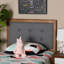 Kintzel Upholstered Headboard-1537694521