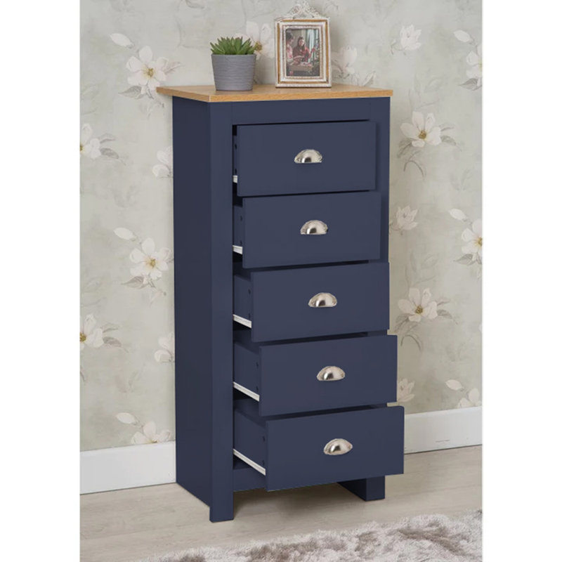 Odyle 53 cm W Chest of Drawers, Blue/Oak