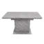 Extendable Dining Table-1331881253