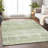 Premium Machine Washable Gerardo Aloe Rug-1468759010
