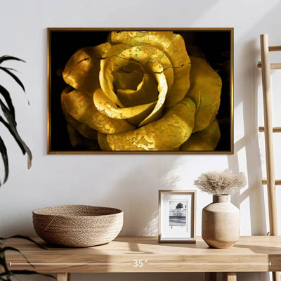 Golden Rose