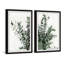 Diptyque de plante magique-927049286