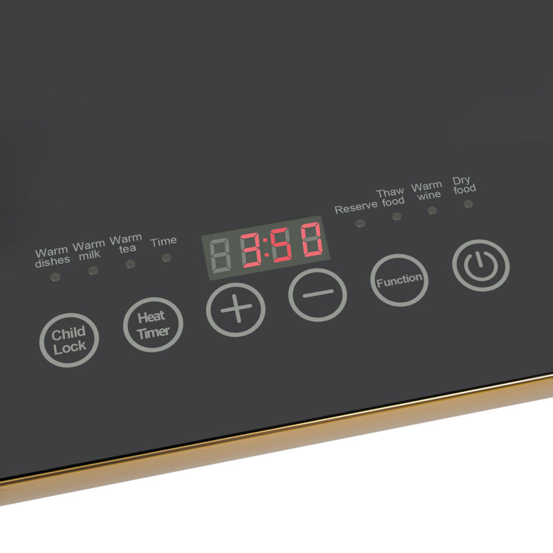 Plaque chauffante électrique 400W avec affichage intelligent