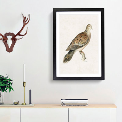 Oriental Turtle Dove by Von Wright - Picture Frame Painting Print