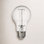 Branded Lamps 7.5W A19 Clear LED Edison Bulb