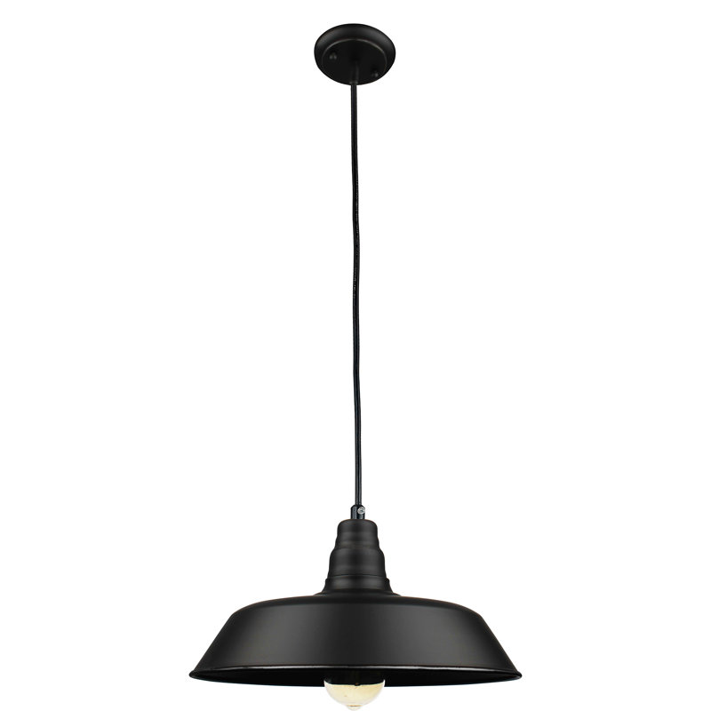 Luminaire suspendu intérieur / extérieur 1 lumière
