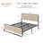 Queen Beige Linen Arnasia Bed-750598720-785825431