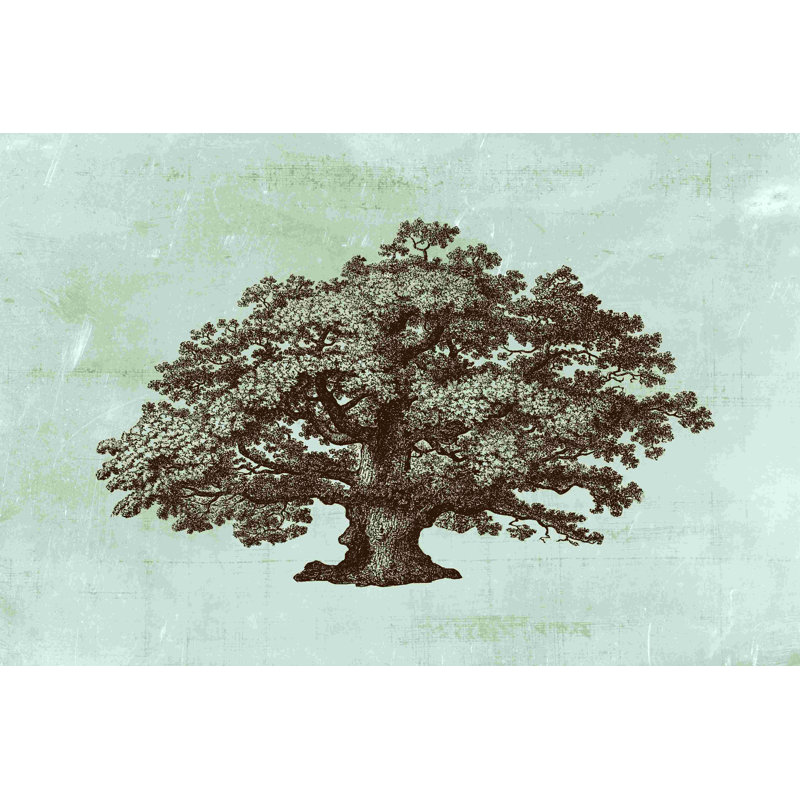 Spa Tree III, H 8 po x l 12 po