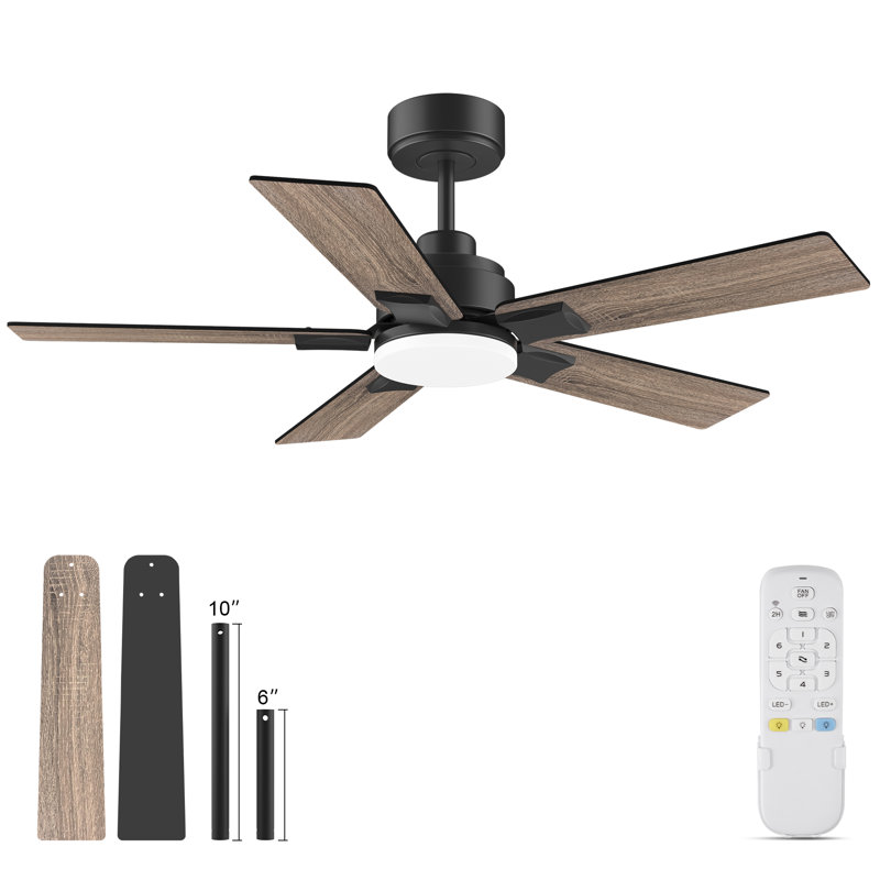 Ventilateur de plafond noir à 5 pales 42 po avec lumière DEL pour l'intérieur et l'extérieur, télécommande, à intensité variable