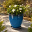 Pot à fleurs intérieur / extérieur en résine synthétique moderne avec soucoupe et écran de drainage-1431438773-1431438775-1522317508