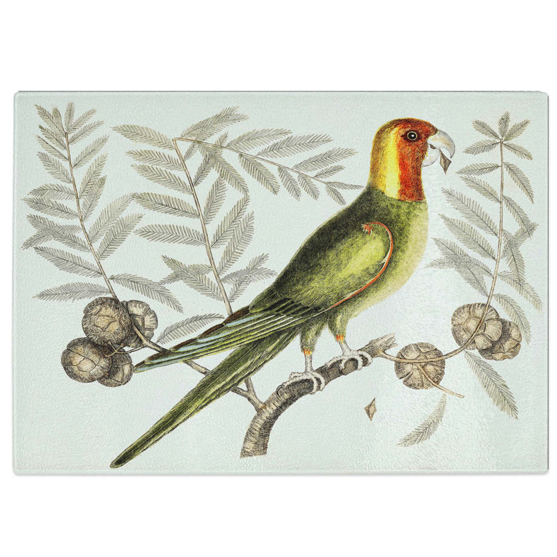 Tempered Glass Parrot of Carolina by Mark Catesby Chopping Board, 39 cm W x 28.5 cm L