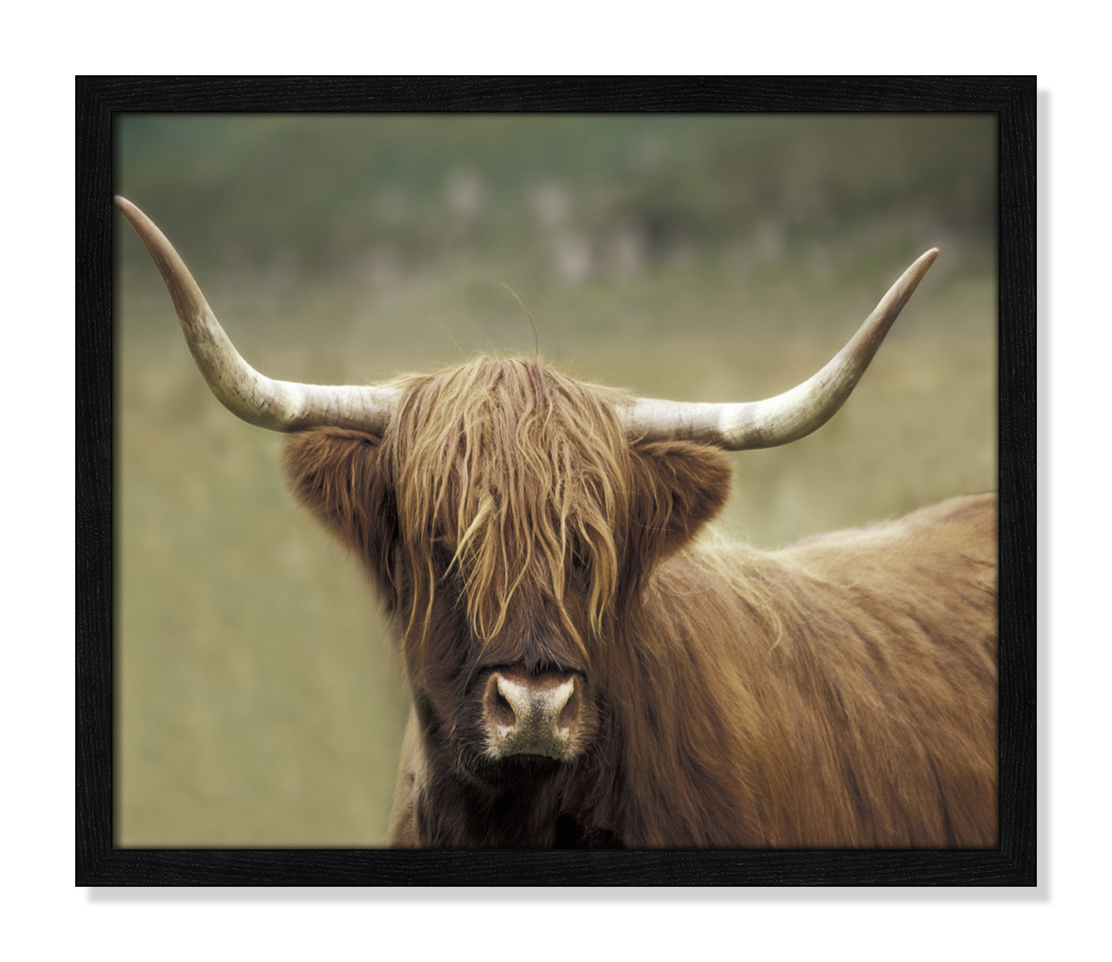 Frederic "Highland Afternoon" Print, 16" H x 19" W x 0.75" D, Black Wood Grain Framed