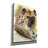 'Beastly' by Barbara Keith, Canvas Wall Art-760472814