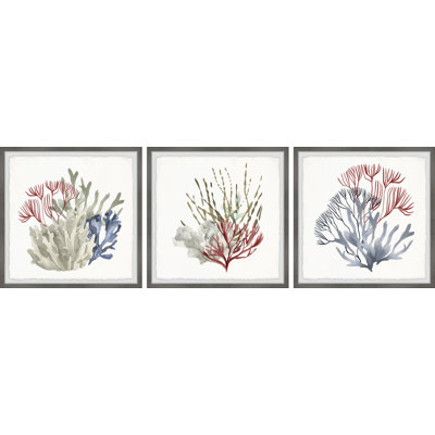 " Marine Life Display " by Marmont Hill 3 - Pieces Painting Print