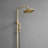 Complete Shower System-103061112