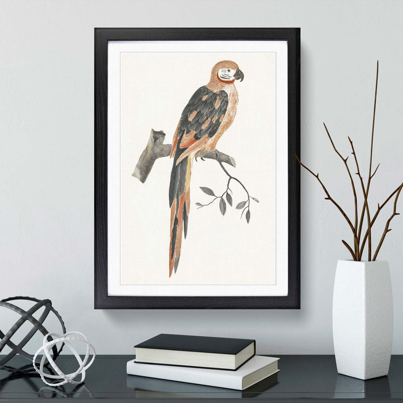 A Parrot by Johan Teyler - Single Picture Frame Painting, 63cm H x 45cm W x 2cm D, Black Framed