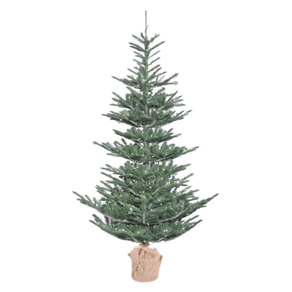 Alberta Blue Pre-Lit Spruce Christmas Tree, 4' H