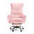 Pink Teddy
