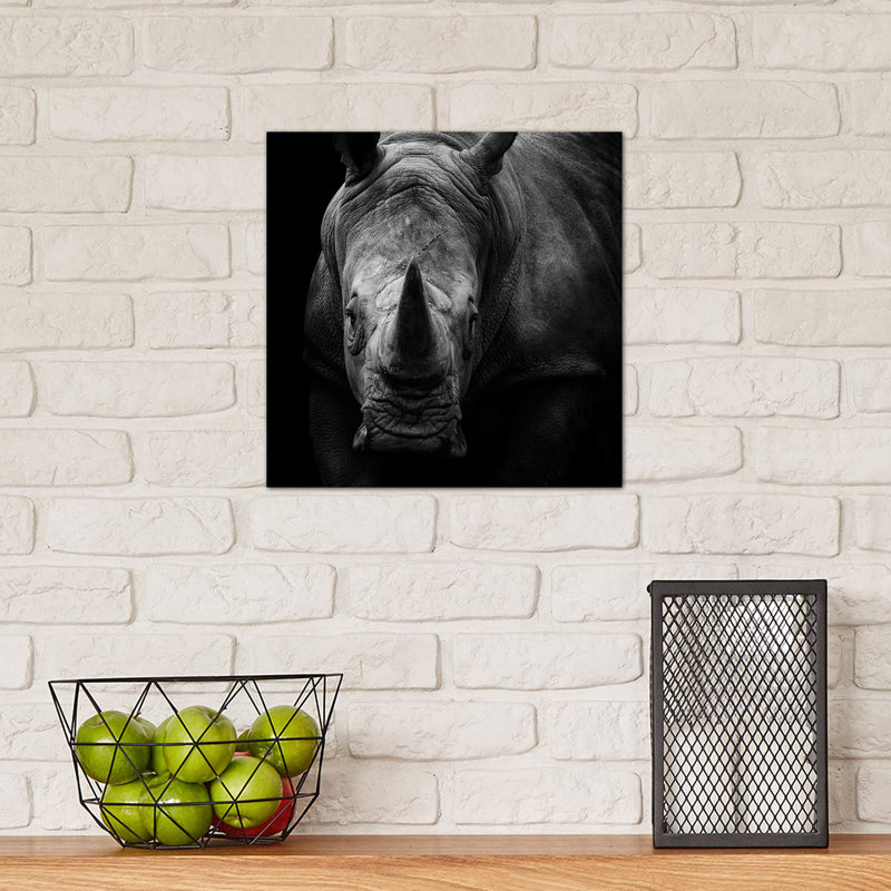 Rhino In Black & White by Lukas Holas - Wrapped Canvas Print, 30.48 cm H x 30.48 cm W
